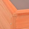 vidaXL دفيئة بيت محمي خشب 100×50×34 سم