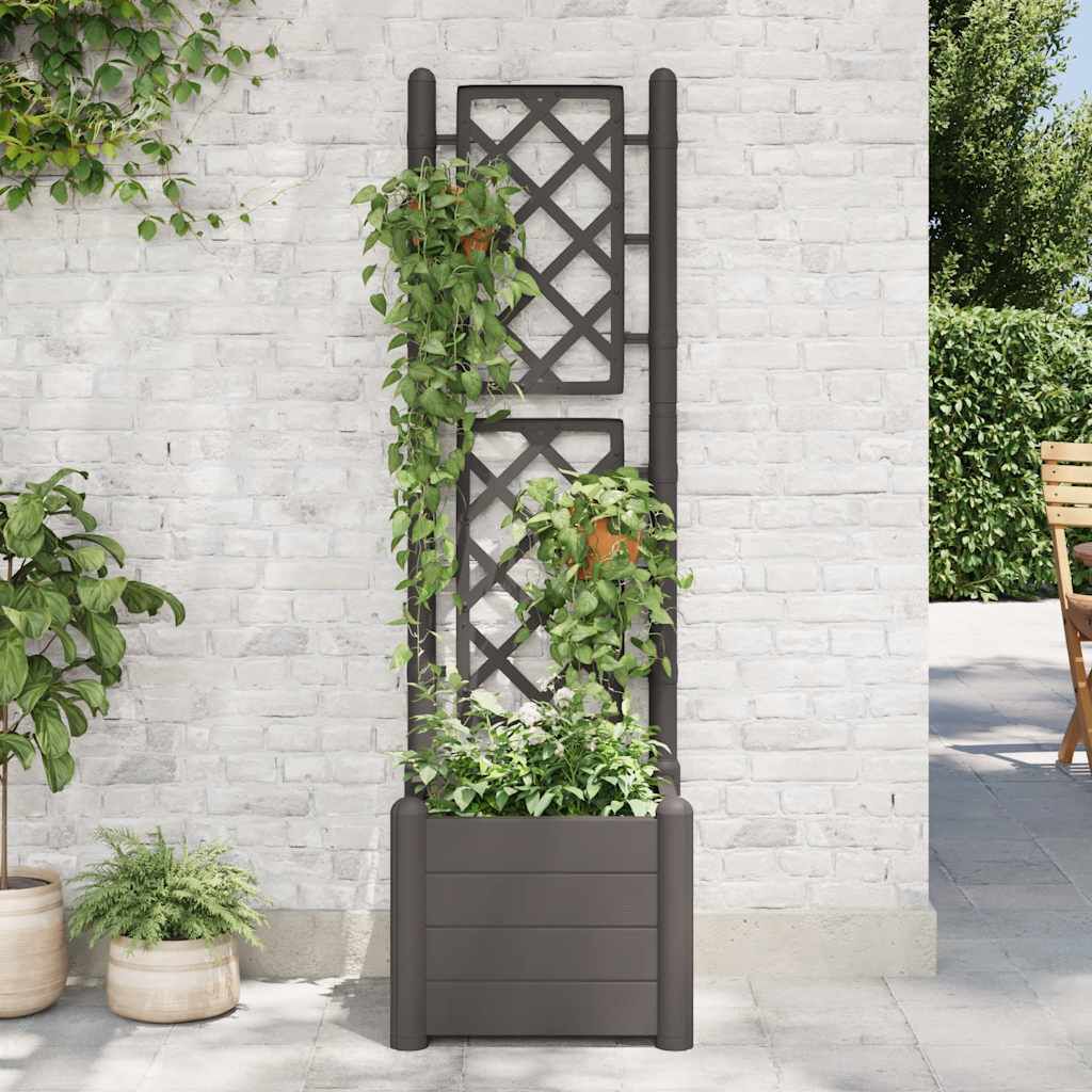 vidaXL حوض حديقة مع تعريشة 43×43×142 سم PP انتراسيت