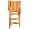 vidaXL كراسي حديقة قابلة للطي 4 ق 55x62x90 سم خشب ساج صلب
