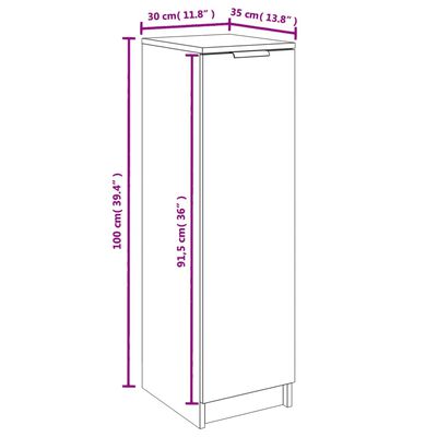 vidaXL خزانة أحذية 100x35x30 سم خشب صناعي أسود