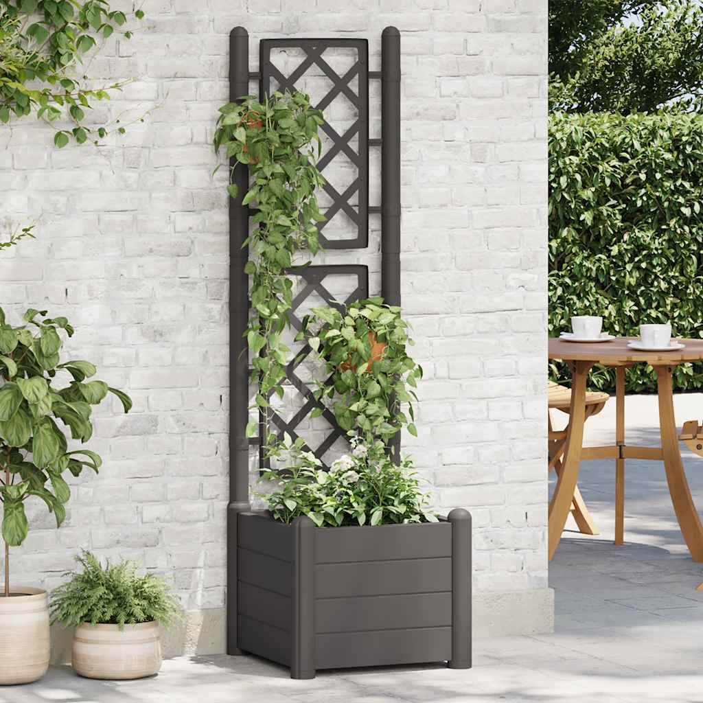 vidaXL حوض حديقة مع تعريشة 43×43×142 سم PP انتراسيت