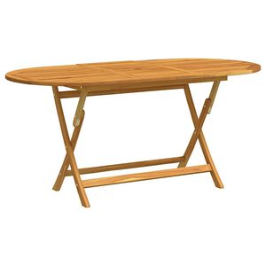 vidaXL طاولة حديقة قابلة للطي 160&times;85&times;75 سم صلب كافور صلب