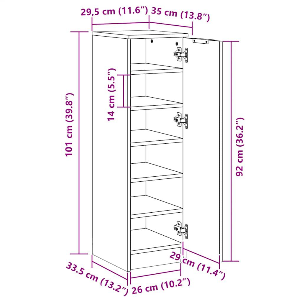 vidaXL خزانة أحذية 100x35x30 سم خشب صناعي أسود