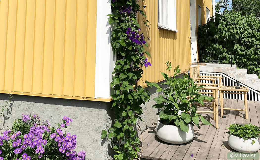 Sunny yard, plants and vidaXL seating